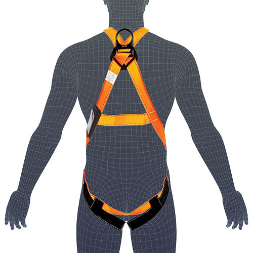 LINQ Essential Harness wireframe on a person, showcasing a full-body safety harness designed for height work, featuring a large dorsal Dee ring and front belay loops, ideal for scaffolding and tower tasks.