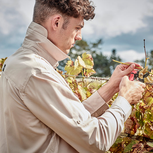 Syzmik Outdoor Long Sleeve Work Shirt worn by a man cutting grapevines with scissors, highlighting its breathable fabric and modern fit, suitable for active, outdoor work environments.