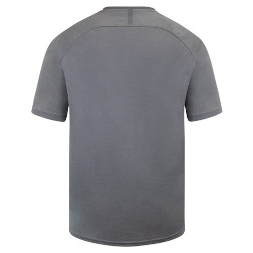 Load image into Gallery viewer, Bison Recycled Polyester T-Shirt, Grey
