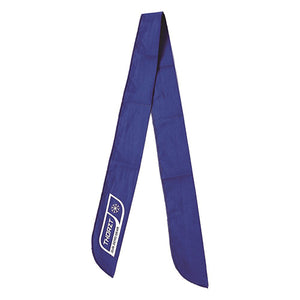 Thorzt Cooling Neck Tie: Royal Blue image