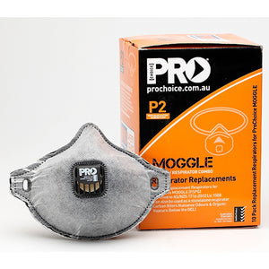 Pro FilterSpec Replacement Mask (Box/10) (P2) image